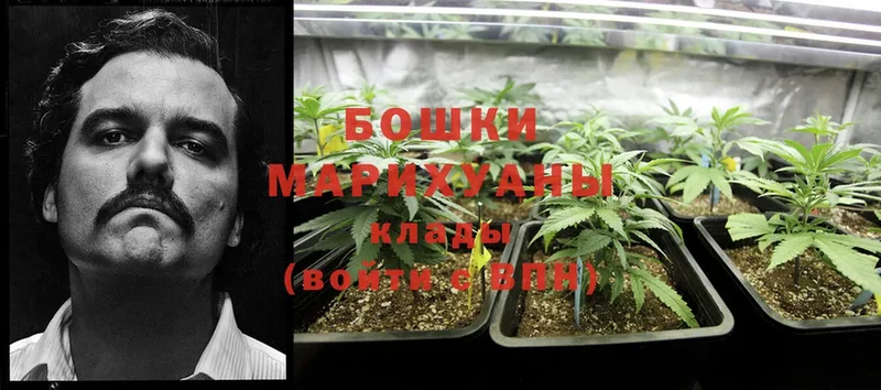 купить наркотик  Инта  Марихуана Bruce Banner 